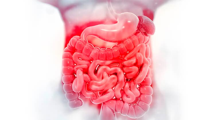 Sangrado gastrointestinal