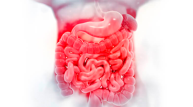 Sangrado gastrointestinal